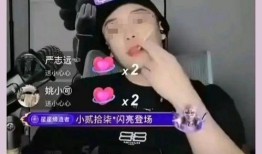 网红黑料视频,视频背后的真相与反思